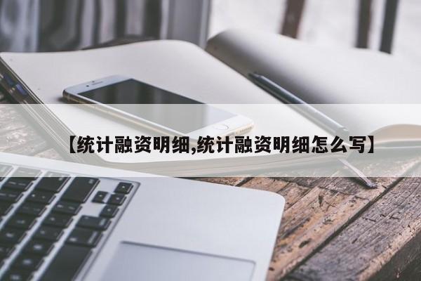 【统计融资明细,统计融资明细怎么写】