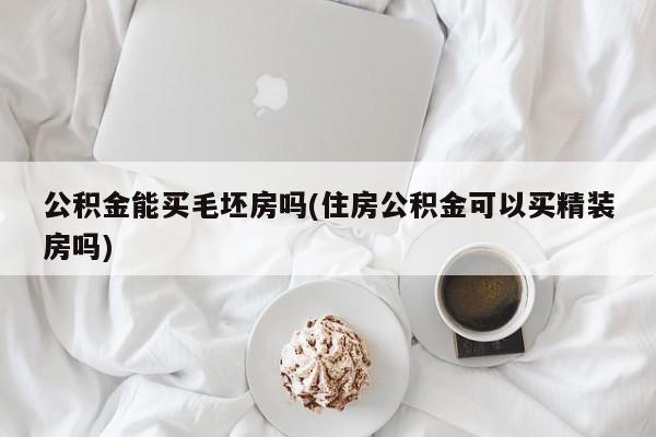 公积金能买毛坯房吗(住房公积金可以买精装房吗)