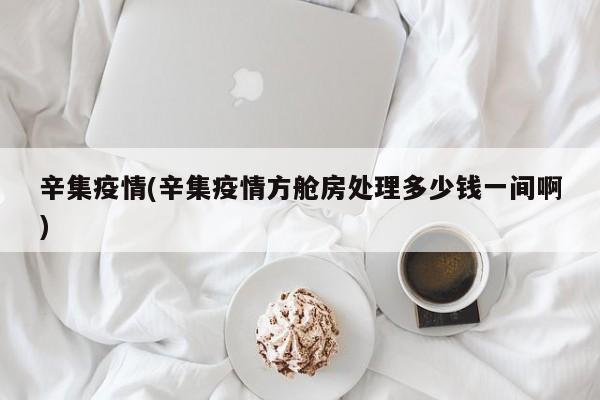 辛集疫情(辛集疫情方舱房处理多少钱一间啊)