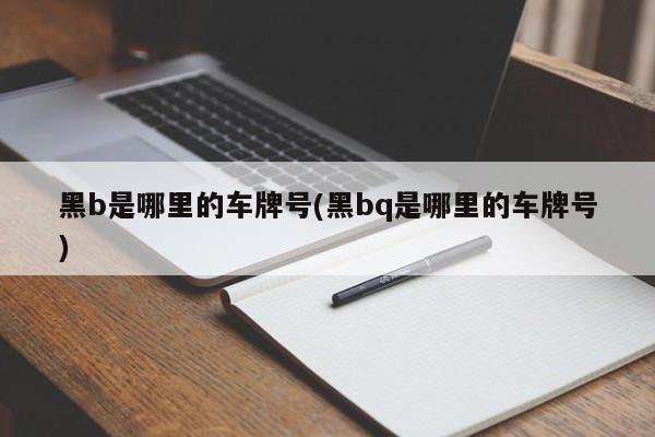 黑b是哪里的车牌号(黑bq是哪里的车牌号)