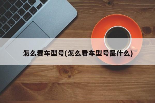 怎么看车型号(怎么看车型号是什么)