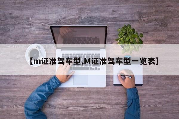 【m证准驾车型,M证准驾车型一览表】