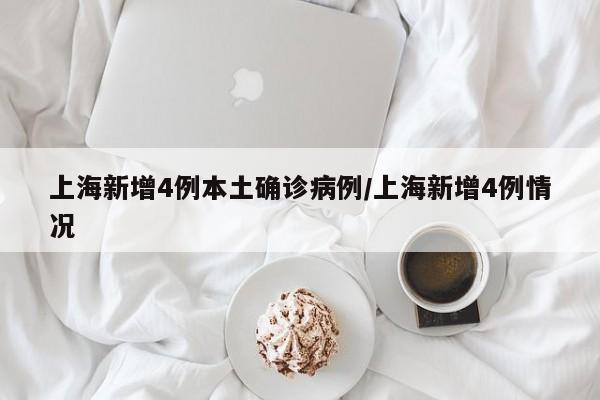上海新增4例本土确诊病例/上海新增4例情况
