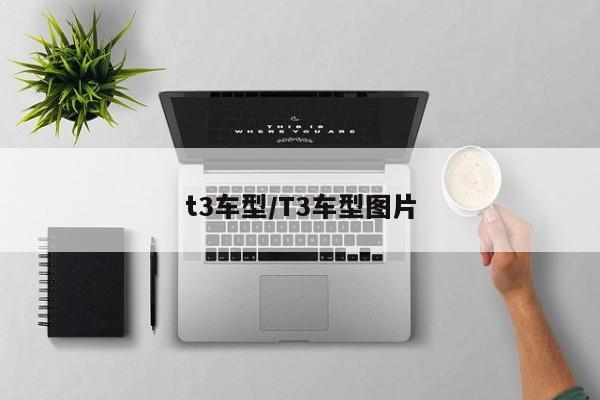 t3车型/T3车型图片