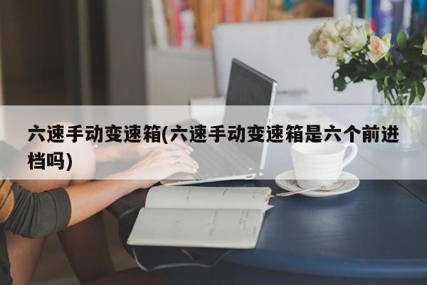 六速手动变速箱(六速手动变速箱是六个前进档吗)