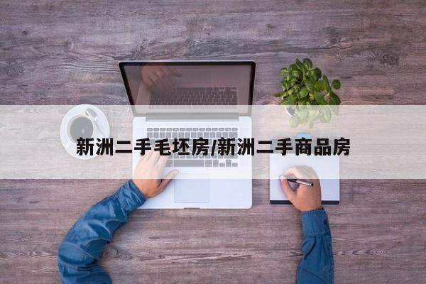 新洲二手毛坯房/新洲二手商品房