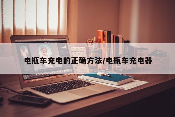 电瓶车充电的正确方法/电瓶车充电器