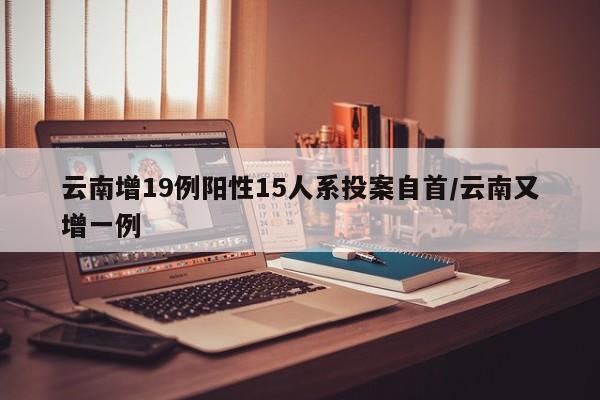 云南增19例阳性15人系投案自首/云南又增一例