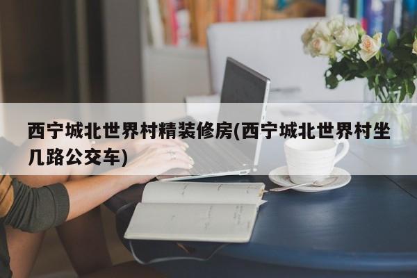 西宁城北世界村精装修房(西宁城北世界村坐几路公交车)