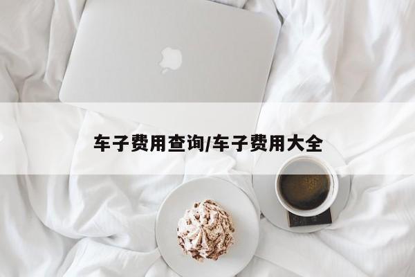 车子费用查询/车子费用大全