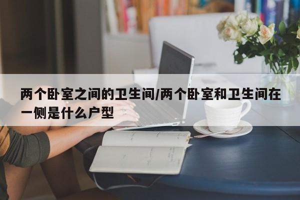 两个卧室之间的卫生间/两个卧室和卫生间在一侧是什么户型