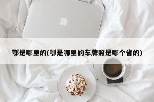 鄂是哪里的(鄂是哪里的车牌照是哪个省的)