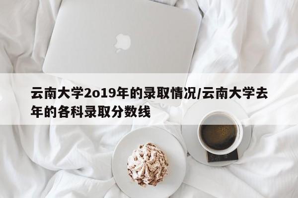 云南大学2o19年的录取情况/云南大学去年的各科录取分数线