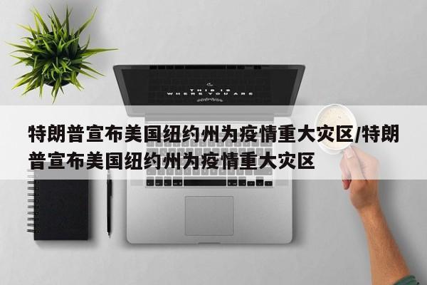 特朗普宣布美国纽约州为疫情重大灾区/特朗普宣布美国纽约州为疫情重大灾区