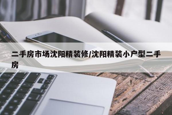 二手房市场沈阳精装修/沈阳精装小户型二手房