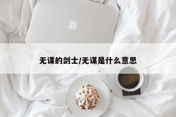 无谋的剑士/无谋是什么意思