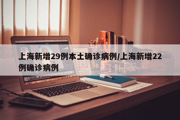 上海新增29例本土确诊病例/上海新增22例确诊病例