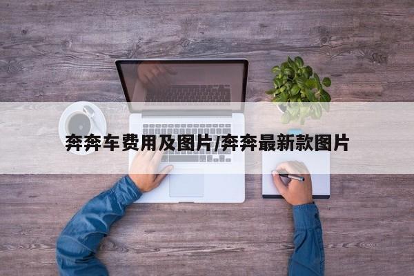 奔奔车费用及图片/奔奔最新款图片