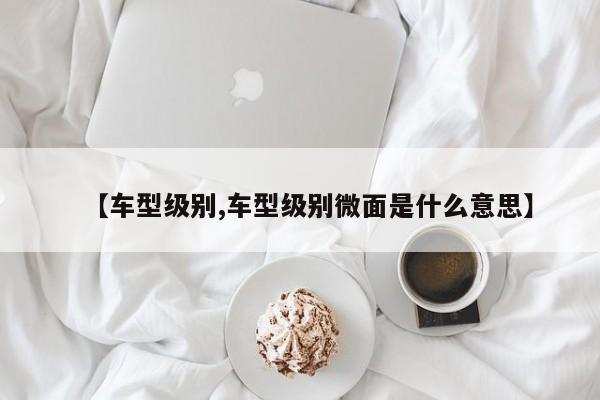 【车型级别,车型级别微面是什么意思】