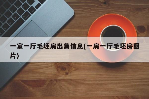 一室一厅毛坯房出售信息(一房一厅毛坯房图片)