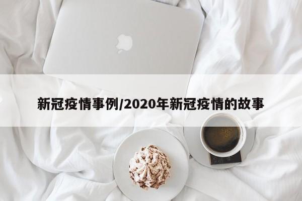 新冠疫情事例/2020年新冠疫情的故事