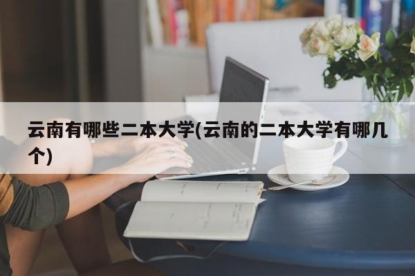云南有哪些二本大学(云南的二本大学有哪几个)